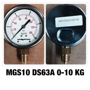 เกจ 2.5 เกลียวทองเหลือง ออกกล่าง 1 Bar-40 Bar MGS10 DS63A 0-10 KG