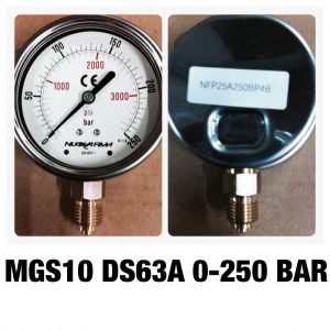 เกจทองเหลือง 2.5 ออกล่าง MGS10 DS63A 0-250 BAR