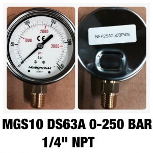 เกจทองเหลือง 2.5 ออกล่าง MGS10 DS63A 0-250 BAR 1/4" NPT