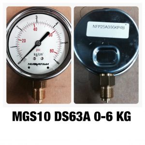 เกจ 2.5 เกลียวทองเหลือง ออกกล่าง 1 Bar-40 Bar MGS10 DS63A 0-6 KG