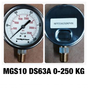 เกจทองเหลือง 2.5 ออกล่าง MGS10 DS63A 0-250 KG